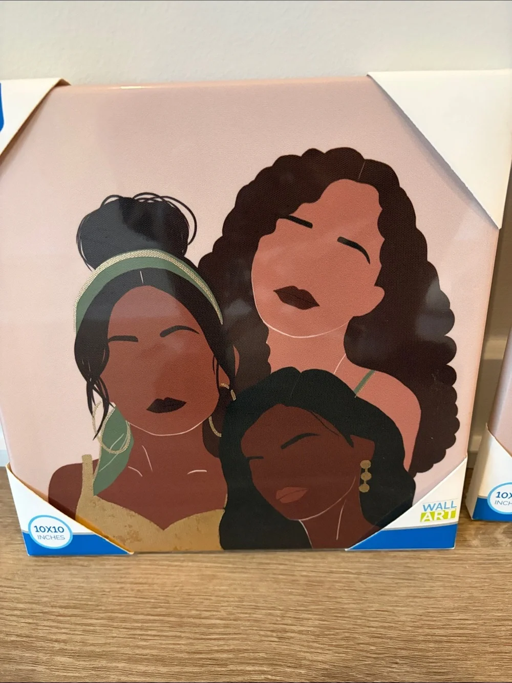 Set of 2 Blush Pink Women of Color Canvas Wall Art